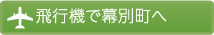 飛行機で幕別町へ