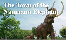The Town of the Naumann Elephant