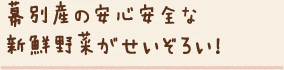 幕別産の安心安全な新鮮野菜がせいぞろい！
