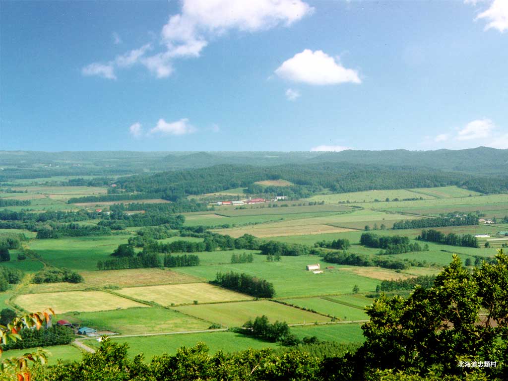 忠類村の風景壁紙